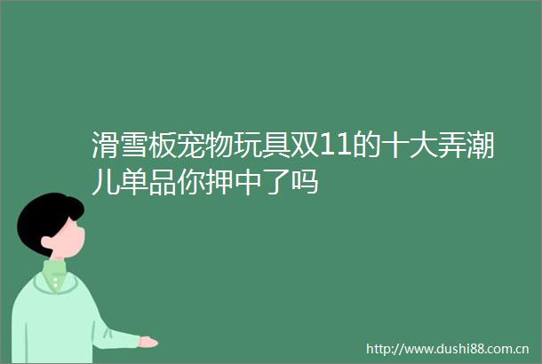滑雪板宠物玩具双11的十大弄潮儿单品你押中了吗
