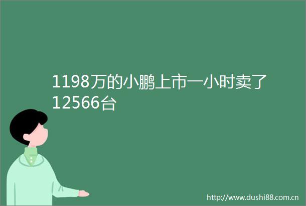 1198万的小鹏上市一小时卖了12566台