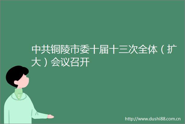 铜陵市委十届十三次全体（扩大）会议召开