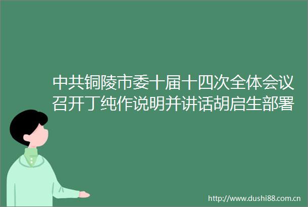 铜陵市委十届十四次全体会议召开丁纯作说明并讲话胡启生部署2021年经济工作张梦生等出席