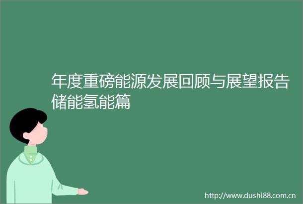 年度重磅能源发展回顾与展望报告储能氢能篇