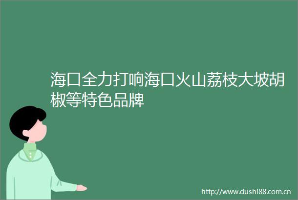 海口全力打响海口火山荔枝大坡胡椒等特色品牌