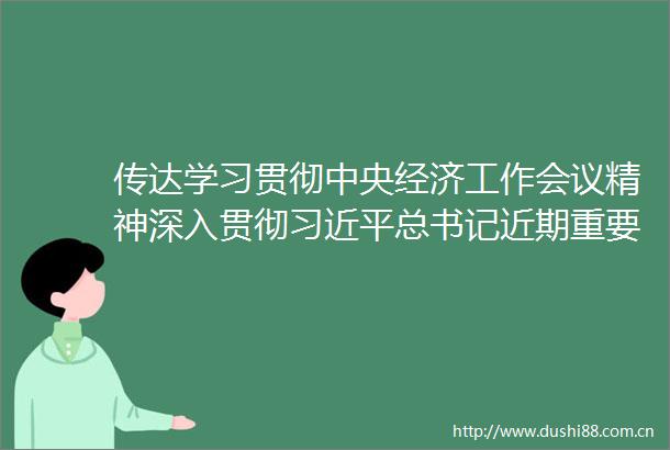 传达学习贯彻中央经济工作会议精神深入贯彻总书记近期重要讲话重要指示精神