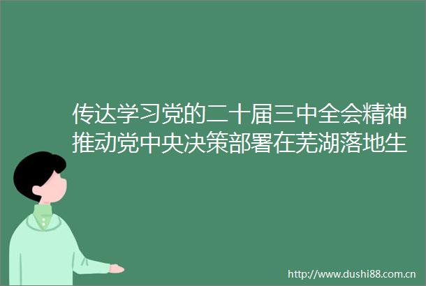 传达学习党的二十届三中全会精神推动党中央决策部署在芜湖落地生根开花结果