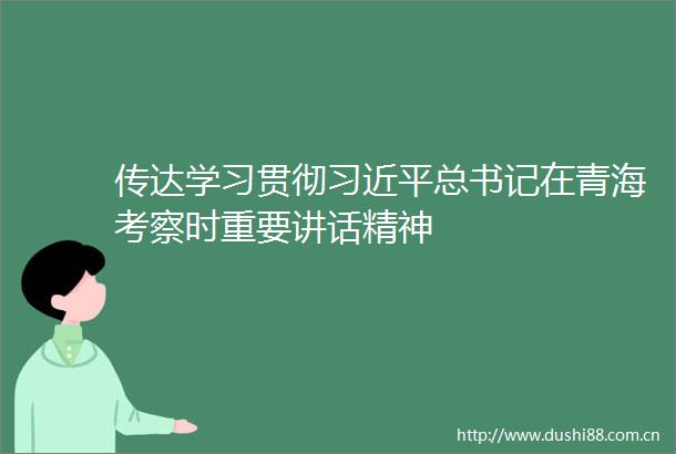 传达学习贯彻总书记在青海考察时重要讲话精神