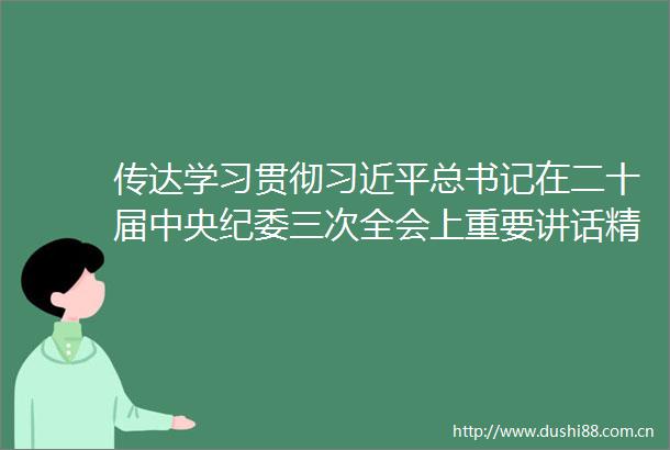 传达学习贯彻总书记在二十届中央纪委三次全会上重要讲话精神研究部署纪检监察宣传思想文化和省两会相关工作