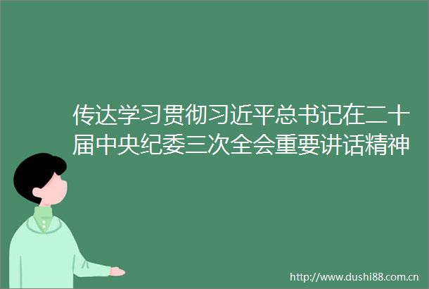 传达学习贯彻总书记在二十届中央纪委三次全会重要讲话精神