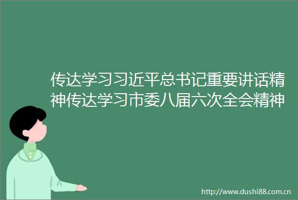传达学习总书记重要讲话精神传达学习市委八届六次全会精神