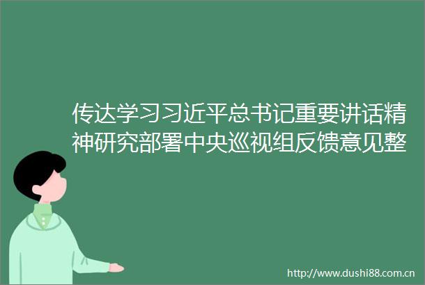 传达学习总书记重要讲话精神研究部署中央巡视组反馈意见整改落实工作