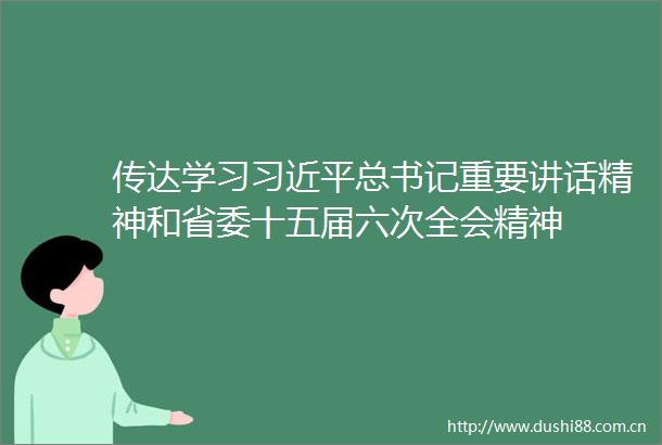 传达学习总书记重要讲话精神和省委十五届六次全会精神
