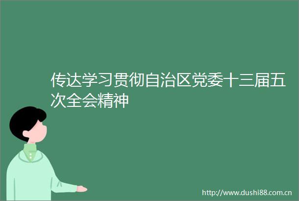 传达学习贯彻自治区党委十三届五次全会精神