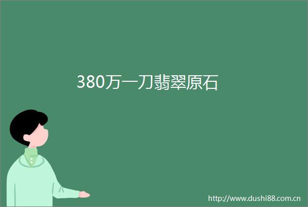380万一刀翡翠原石