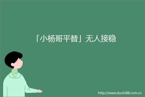 「小杨哥平替」无人接稳