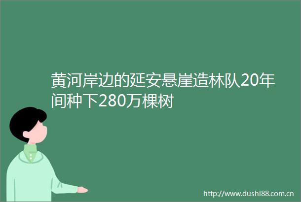 黄河岸边的延安悬崖造林队20年间种下280万棵树