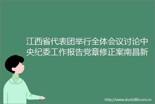 江西省代表团举行全体会议讨论中央纪委工作报告党章修正案南昌新闻网