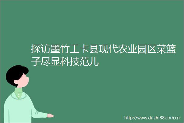 探访墨竹工卡县现代农业园区菜篮子尽显科技范儿