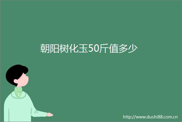 朝阳树化玉50斤值多少