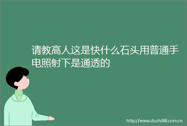 请教高人这是快什么石头用普通手电照射下是通透的