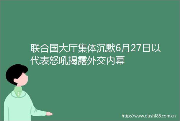 联合国大厅集体沉默6月27日以代表怒吼外交