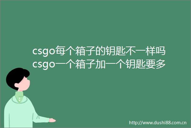 csgo每个箱子的钥匙不一样吗csgo一个箱子加一个钥匙要多少钱