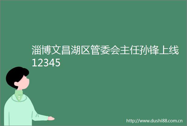 淄博文昌湖区管委会主任孙锋上线12345