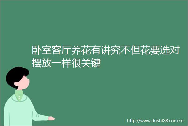 卧室客厅养花有讲究不但花要选对摆放一样很关键