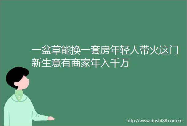 一盆草能换一套房年轻人带火这门新生意有商家年入千万