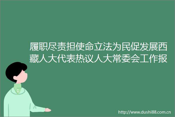 履职尽责担使命立法为民促发展西藏人大代表热议人大常委会工作报告