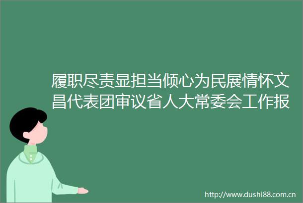 履职尽责显担当倾心为民展情怀文昌代表团审议省人大常委会工作报告