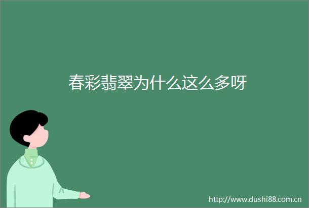 春彩翡翠为什么这么多呀