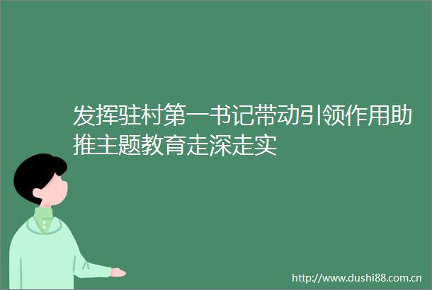 发挥驻村第一书记带动引领作用助推主题教育走深走实