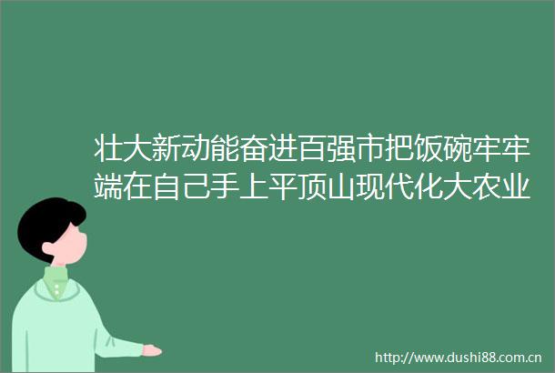 壮大新动能奋进百强市把饭碗牢牢端在自己手上平顶山现代化大农业发展系列观察之三