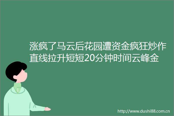 涨疯了马云后花园遭资金疯狂炒作直线拉升短短20分钟时间云峰金融几乎翻倍阿里系迎来重大进展要拿下重磅牌照
