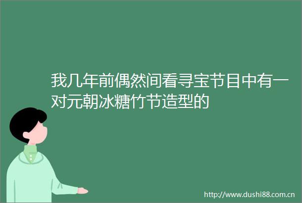 我几年前偶然间看寻宝节目中有一对元朝冰糖竹节造型的