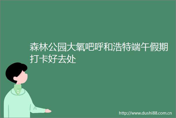 森林公园大氧吧呼和浩特端午假期打卡好去处