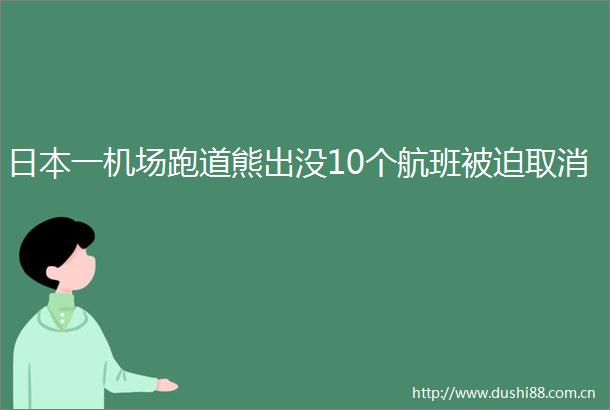 一机场跑道熊出没10个航班被迫取消