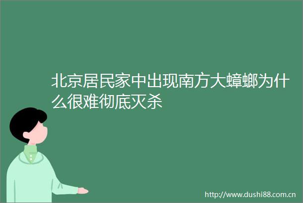 北京居民家中出现南方大蟑螂为什么很难彻底灭杀