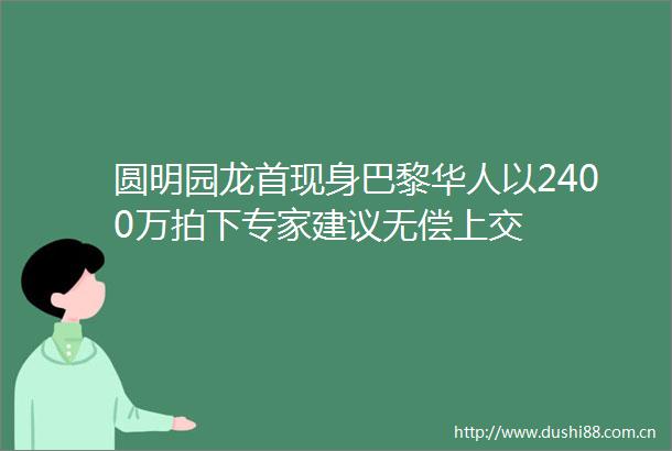 圆明园龙首现身巴黎华人以2400万拍下专家建议无偿上交