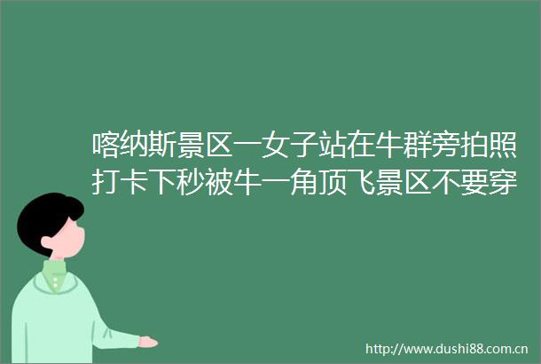 喀纳斯景区一女子站在牛群旁拍照打卡下秒被牛一角顶飞景区不要穿着裙子靠近牛群