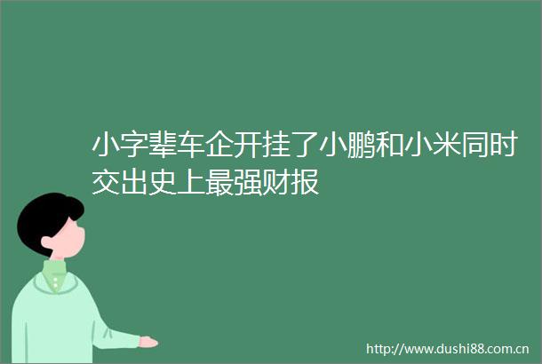小字辈车企开挂了小鹏和小米同时交出史上最强财报
