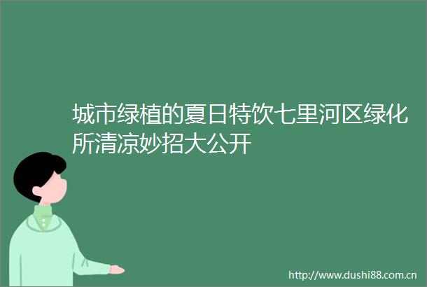 城市绿植的夏日特饮七里河区绿化所清凉妙招大公开