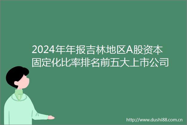 2024年年报吉林地区A股资本固定化比率排名前五大上市公司