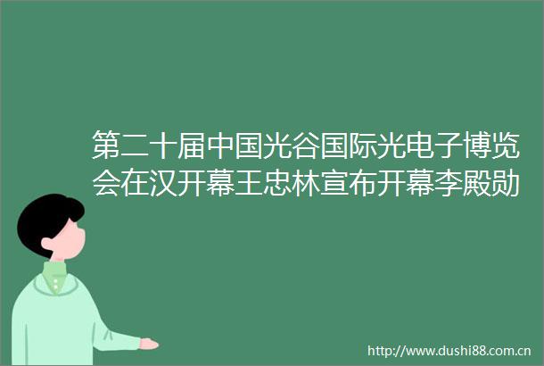 第二十届光谷国际光电子博览会在汉开幕王忠林宣布开幕李殿勋致辞