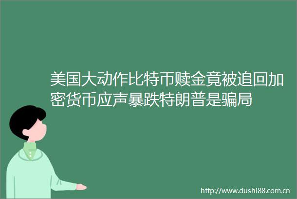 美国大动作比特币赎金竟被追回加密货币应声暴跌特朗普是局
