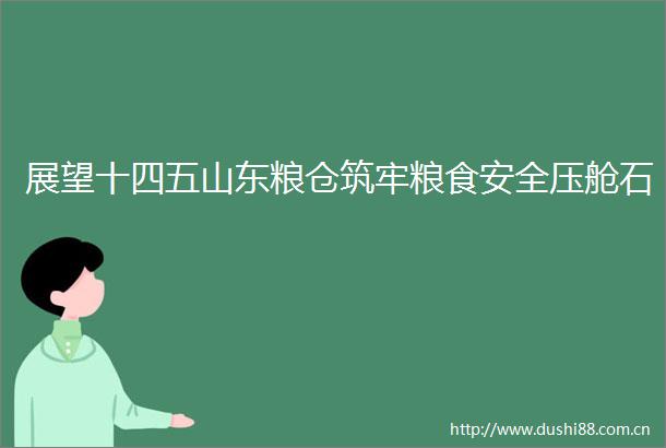 展望十四五山东粮仓筑牢粮食安全压舱石