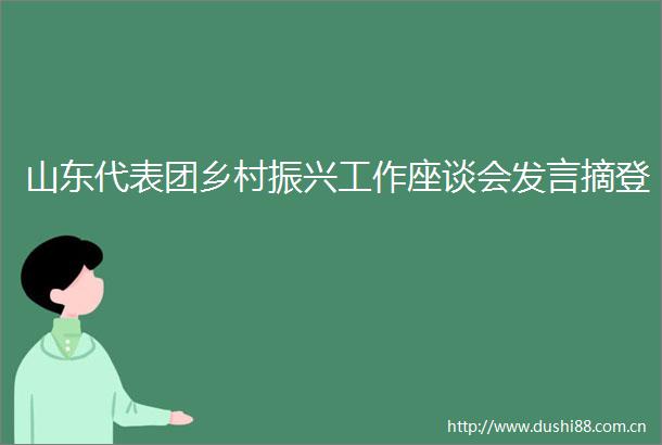山东代表团乡村振兴工作座谈会发言摘登