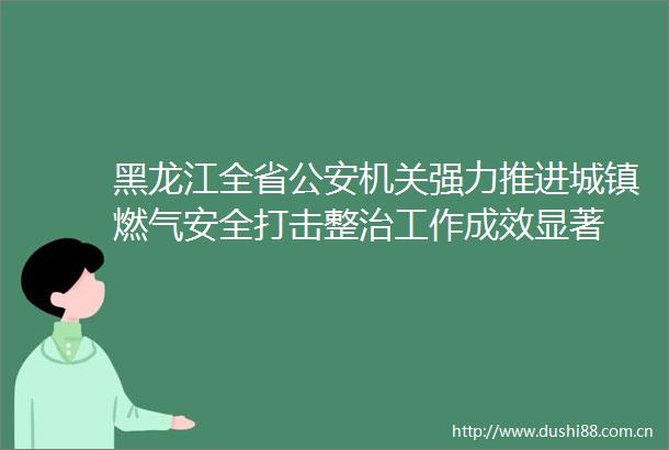 黑龙江全省机关强力推进城镇燃气安全打击整治工作成效显著
