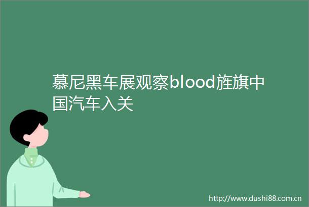 慕尼黑车展观察blood旌旗汽车入关