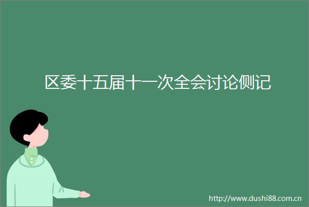 区委十五届十一次全会讨论侧记