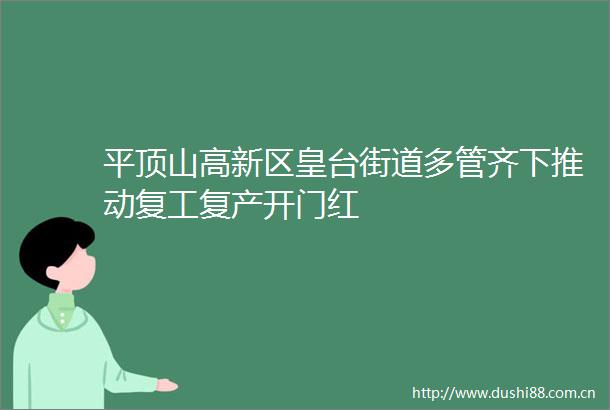 平顶山高新区皇台街道多管齐下推动复工复产开门红